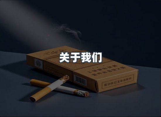关于我们